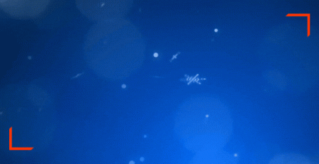 ISCVE Season's Greetings - Web - 2025 (600 x 300)