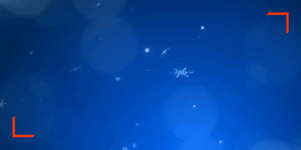 ISCVE Season's Greetings - Web - 2025 (600 x 300)