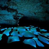 ISCVE - NEXO Underground Environment - 1200px - 2026 Image 4