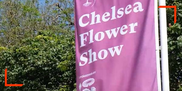 ISCVE CIE Chelsea RHS Chelsea Flower Show 600x300px Image 2023